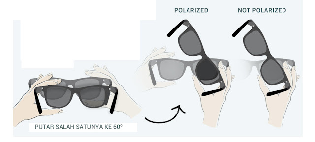 Cara Kerja Kacamata Semua Yang Perlu Diketahui Cara Kerja